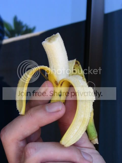IMG_1435.jpg
