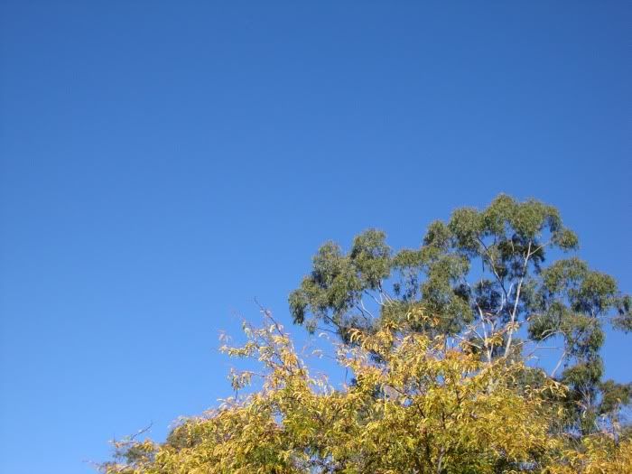 autumn2.jpg