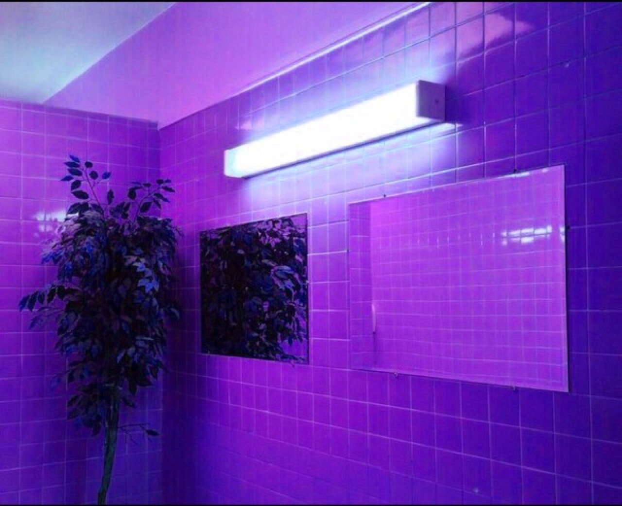 tumblr_okje0lckQR1w3bg89o1_1280.jpg