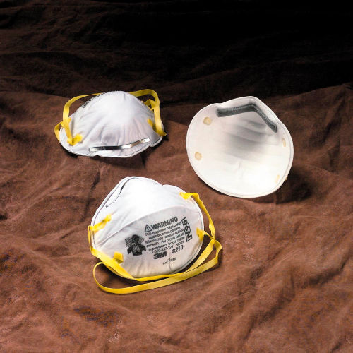 651475.jpg