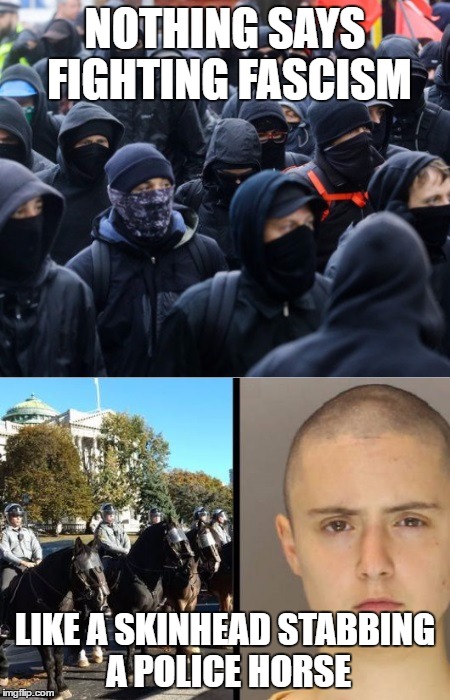 1qwr24.jpg