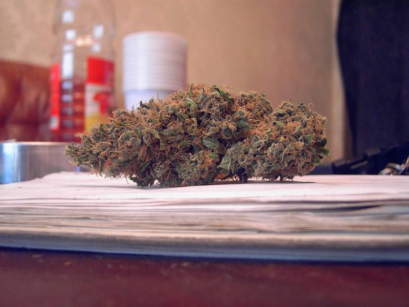 5747SNS_9-SagePheno_Nug.JPG