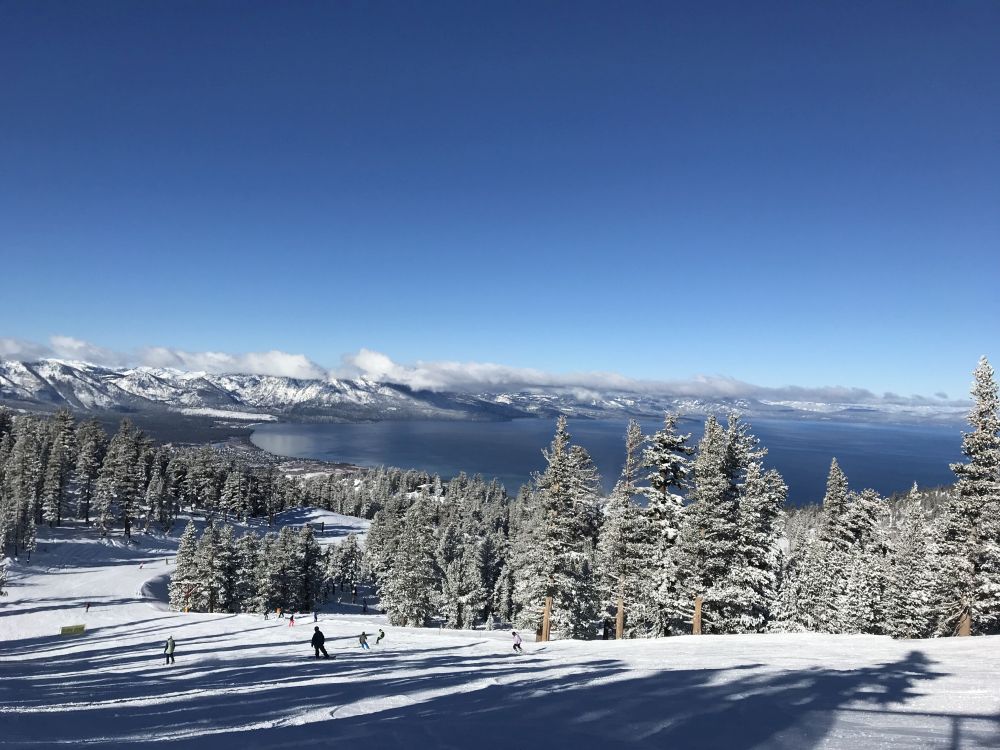 tahoe06.jpg