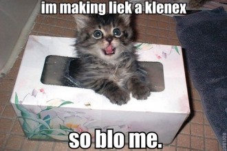 image-funny-picture-330x220.jpg