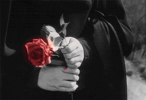 tumblr_lly7z5uRzE1qg39ewo1_500.gif