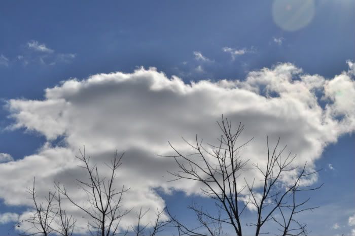 DSC_1174.jpg