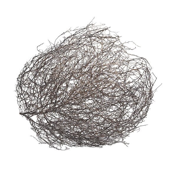 bale-creek-allen-tumbleweed-4.jpg