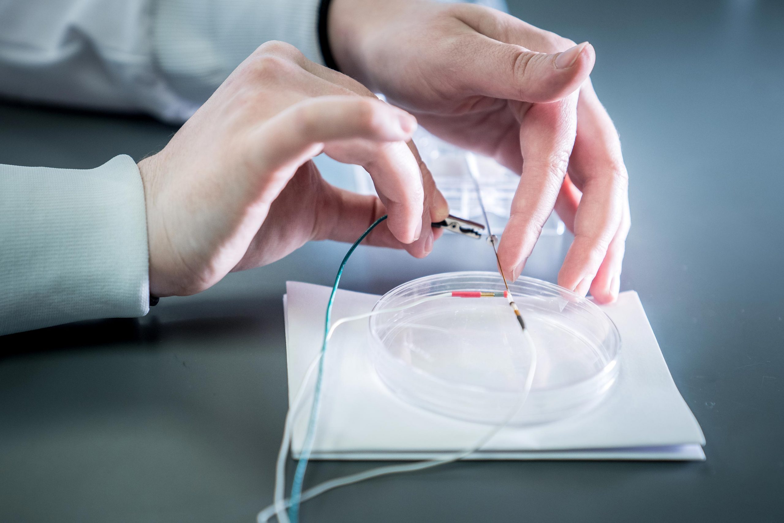 Carbon-Fiber-Microelectrodes-scaled.jpg