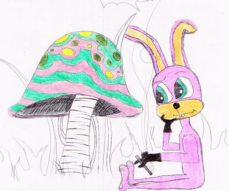 bunny2.jpg