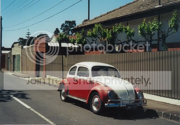 vwvines.jpg
