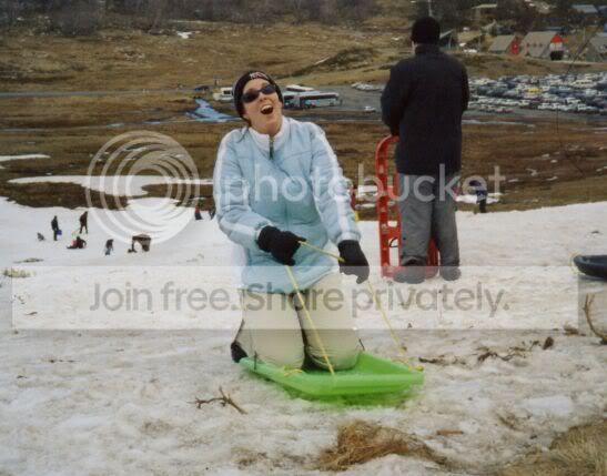 toboggan1.jpg