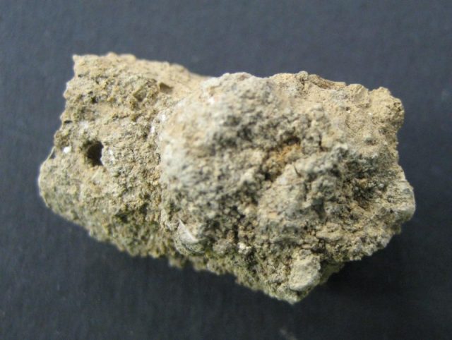 Paleofeces