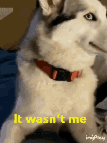 wasnt-me.gif