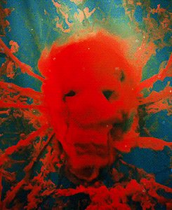tumblr_mrg3bea0Ke1s7g8s5o1_250.gif