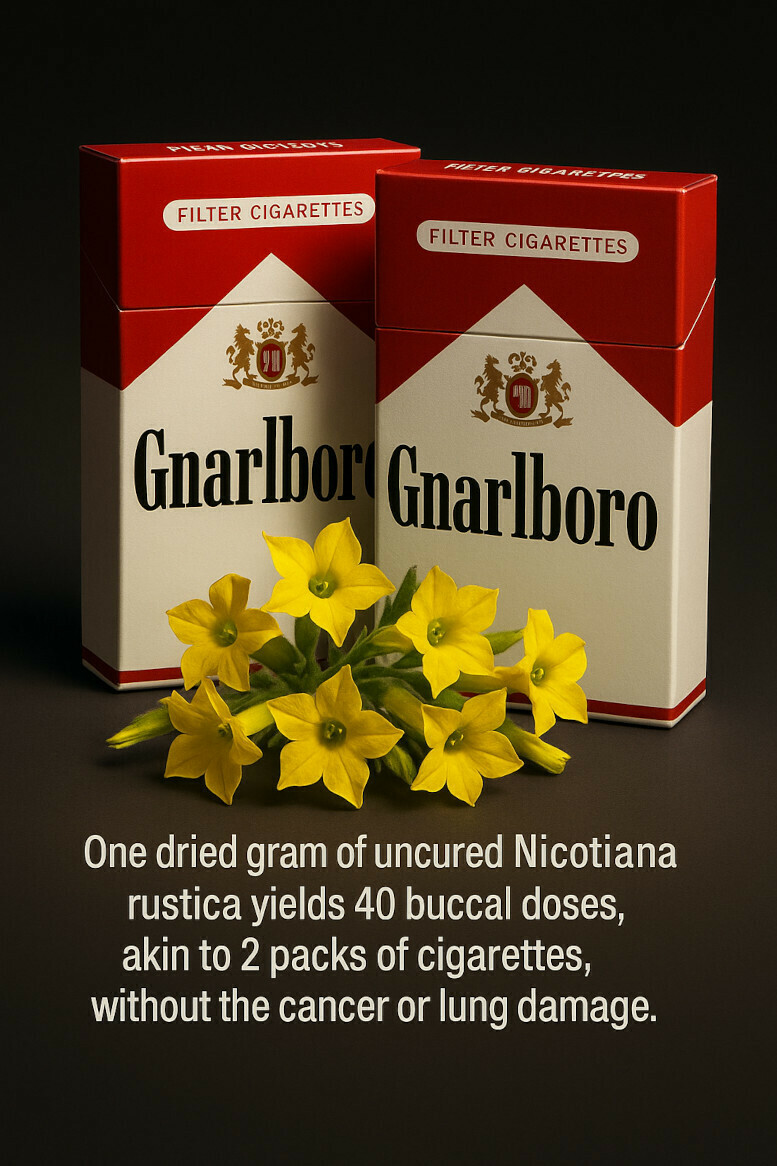 840620828-1gr_nicotiana_rustica__2_packs.jpg