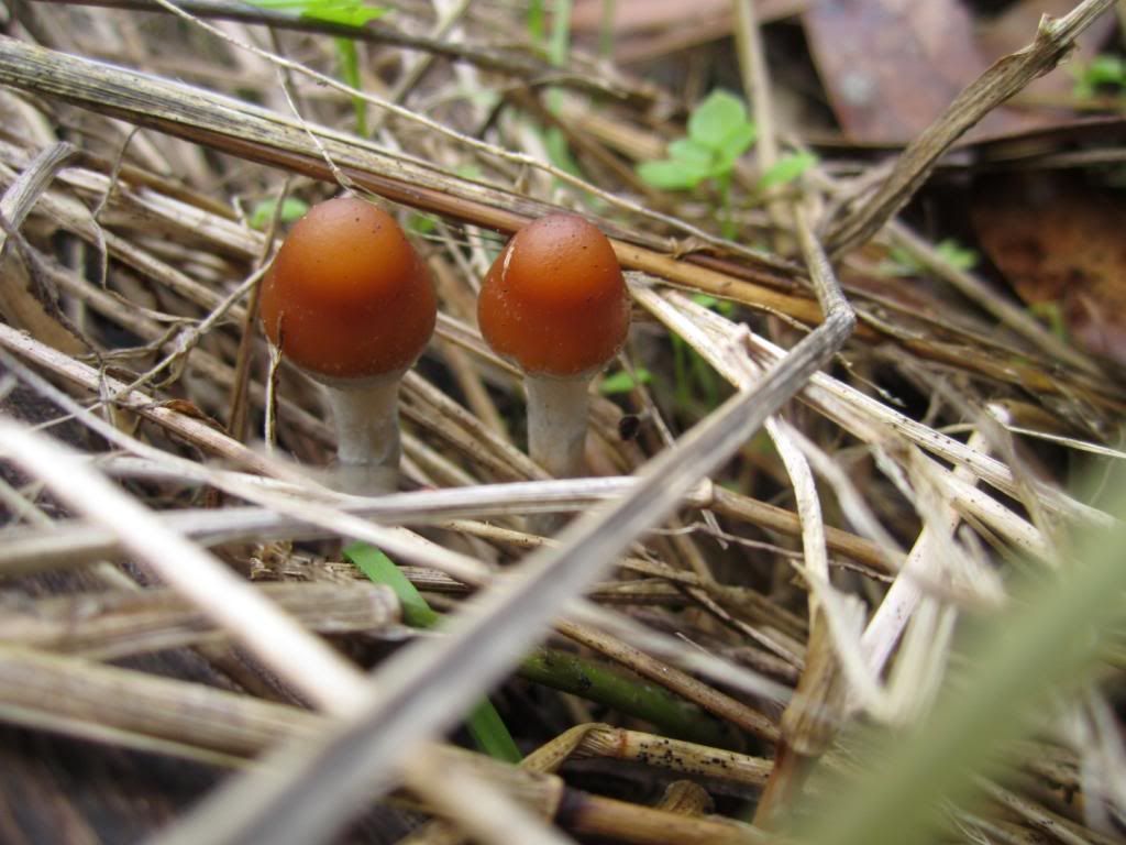IMG_1593Large.jpg