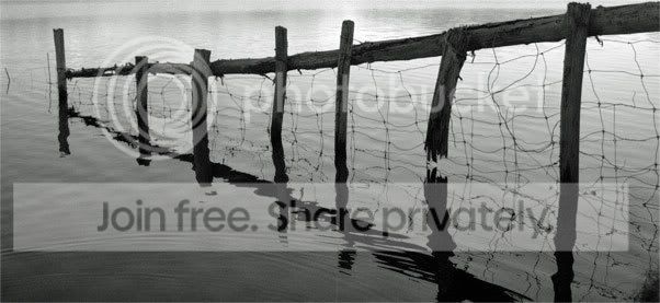 brokenfence1111.jpg