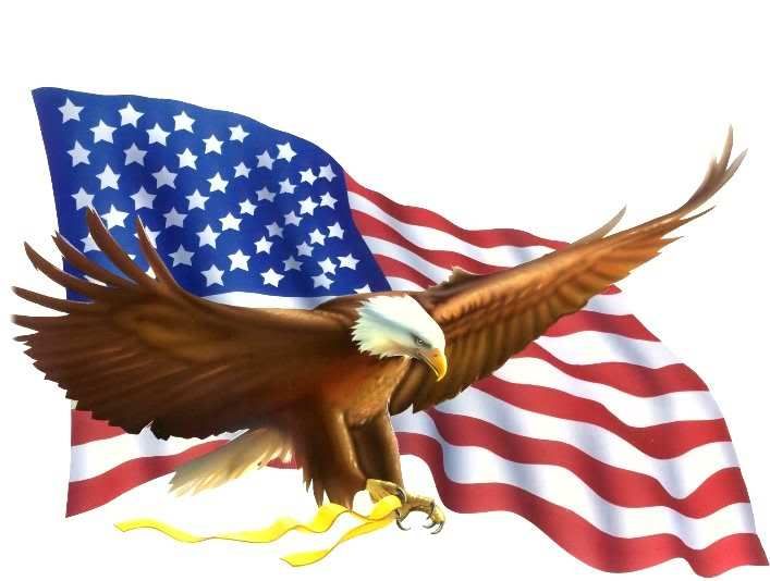 us-flag-eagle2.jpg