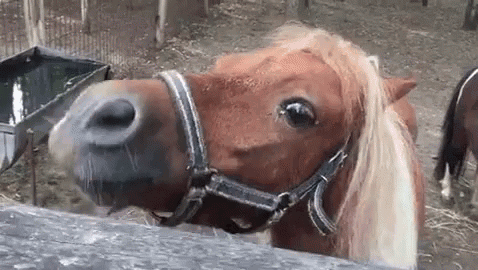 d6cbf091efac10200833ad43f427fa7c21f0f6fe_hq.gif