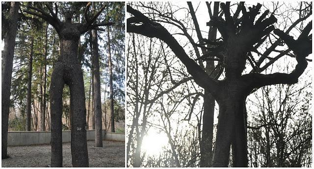 i-see-tree-people-L-QuEbsu.jpeg
