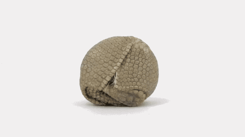 tumblr_md4y5kCJKP1rifnrio1_500.gif