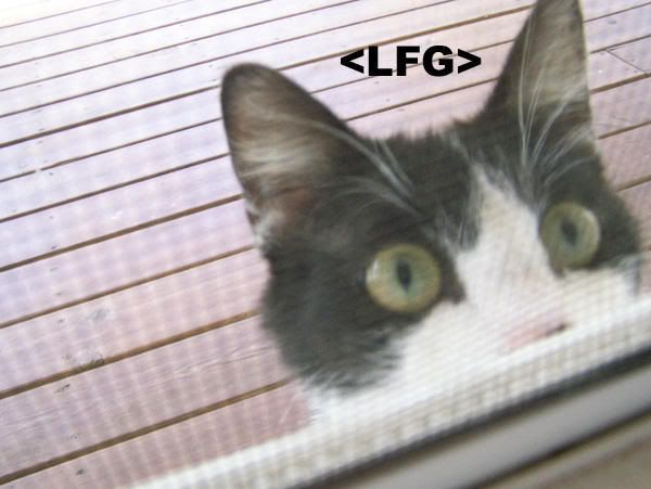 lfg-need-healer.jpg