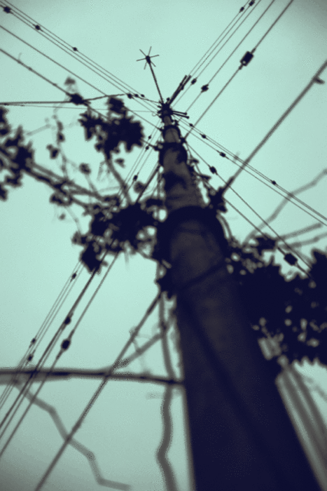 tumblr_mf7auuF0Va1qlu8tno1_500.gif
