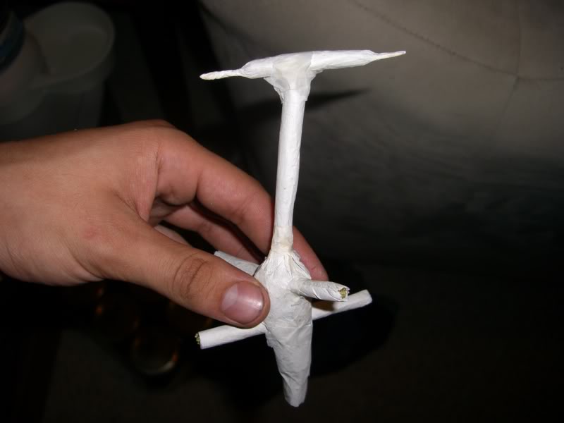 WTF_crazyassjoint.jpg