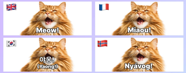 meaoenfw32.png