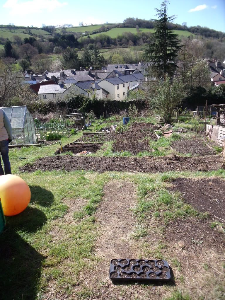 allotmentapril2012004.jpg