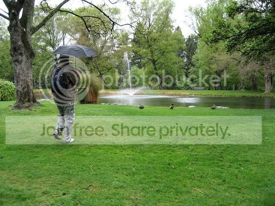 nathducks.jpg