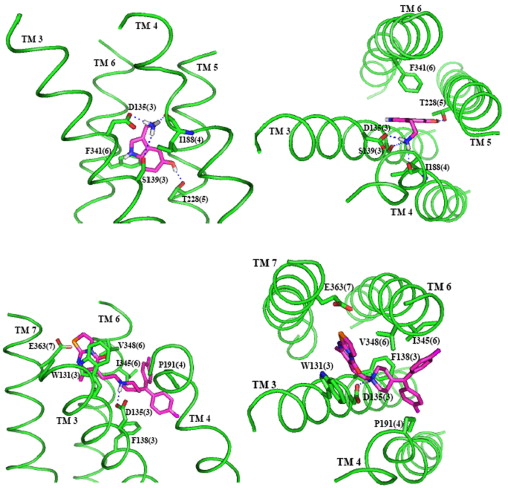 1-s2.0-S1093326308000259-gr10.jpg
