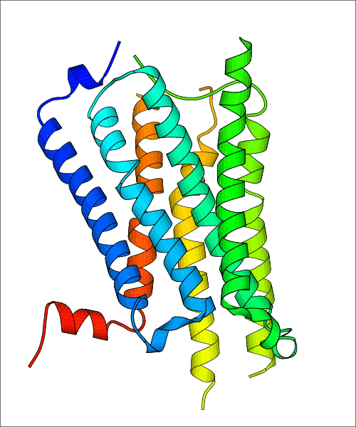 GPCR.png