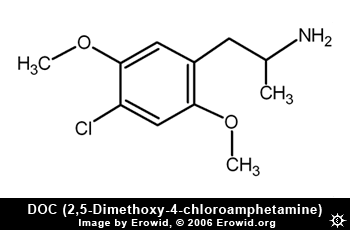 doc_2d.gif