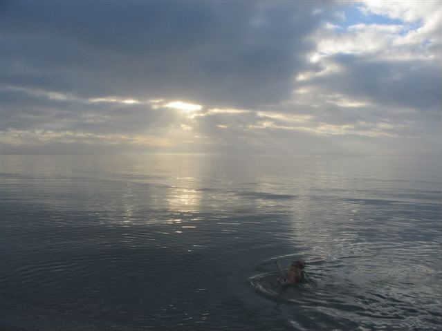 xmas08.jpg