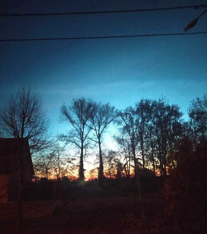 dawn-scaled.jpg