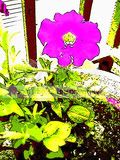 summer2010020-1.jpg