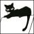 8rT2f.gif