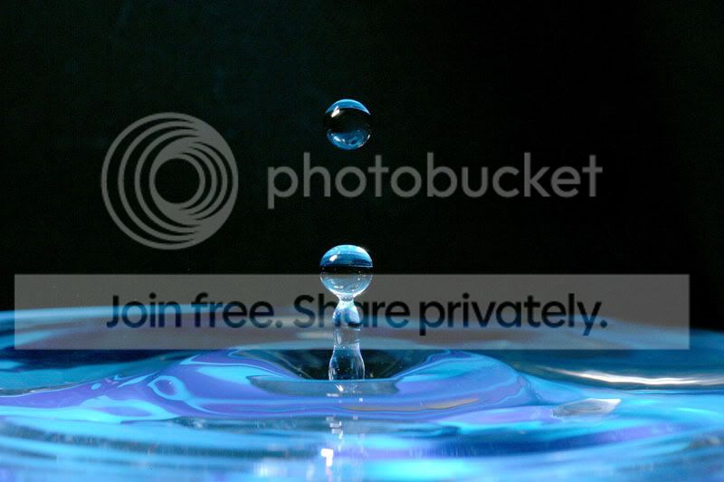 drip3.jpg