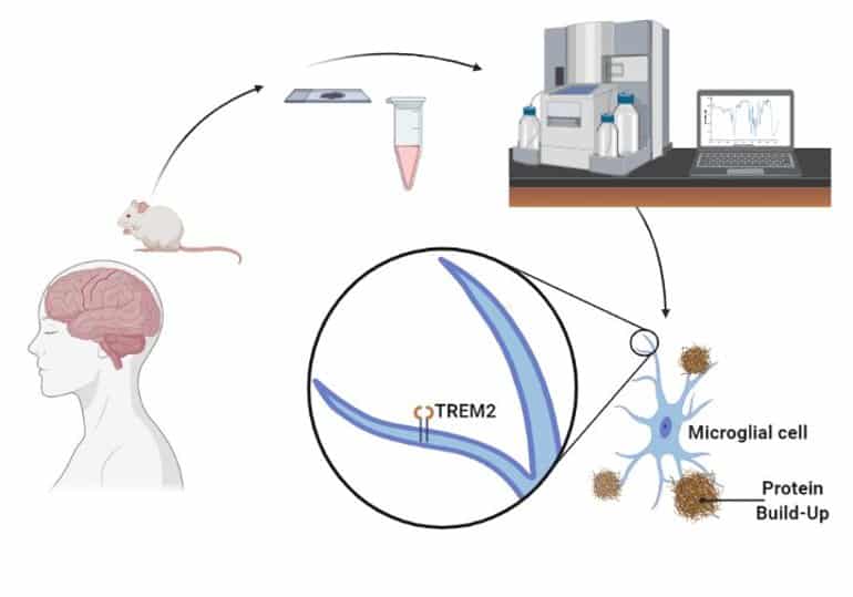 neurosciencenews.com