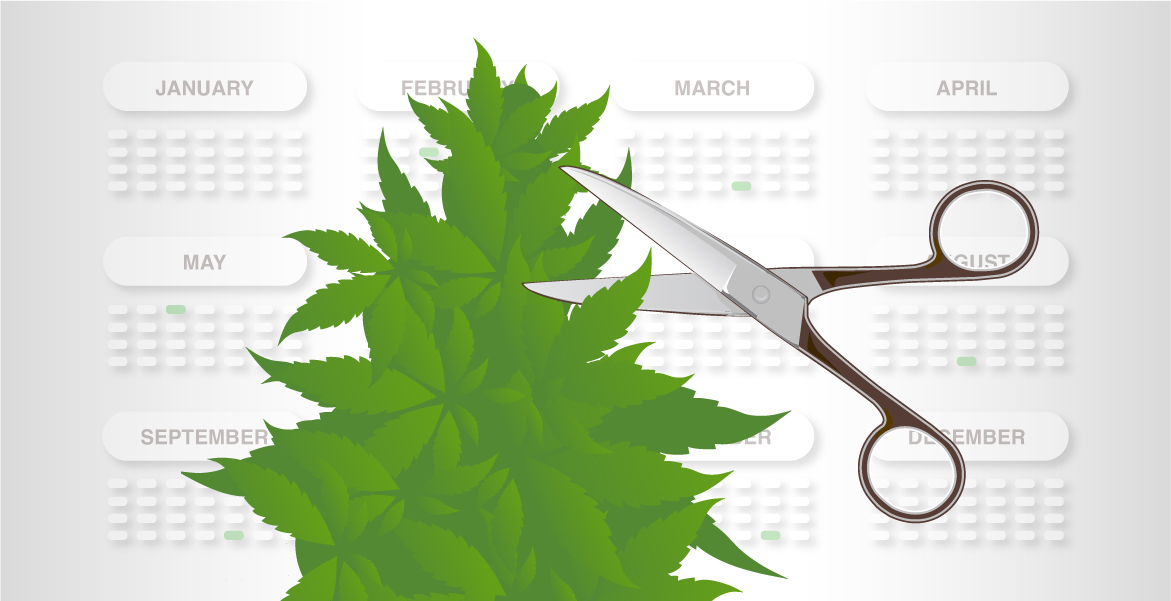 www.amsterdamgenetics.com