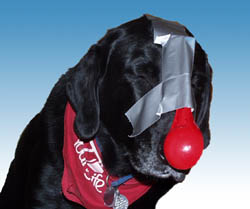 reindog.jpg