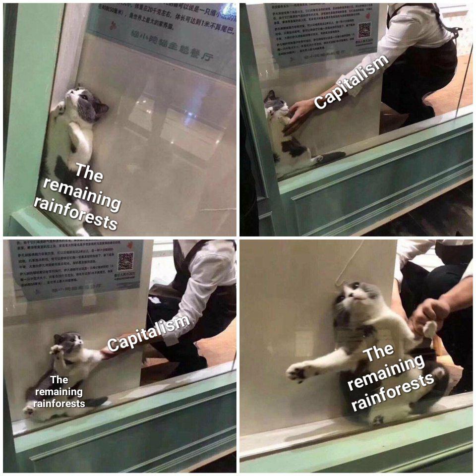 0rRt6VM.jpg