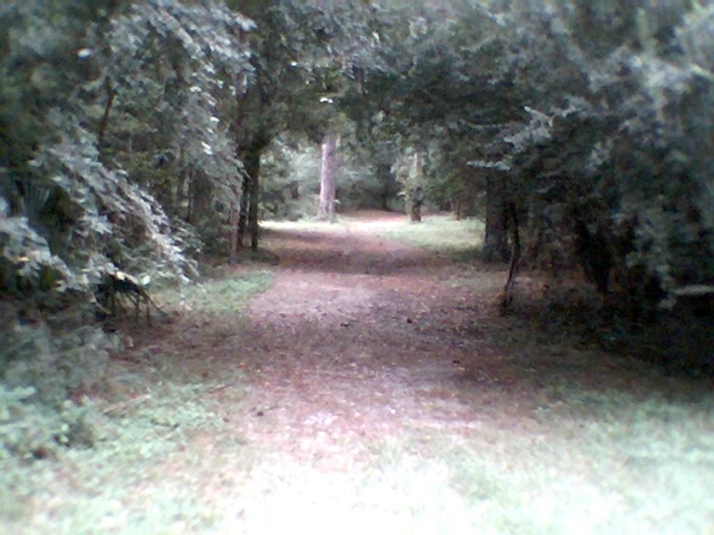 Ashes015.jpg