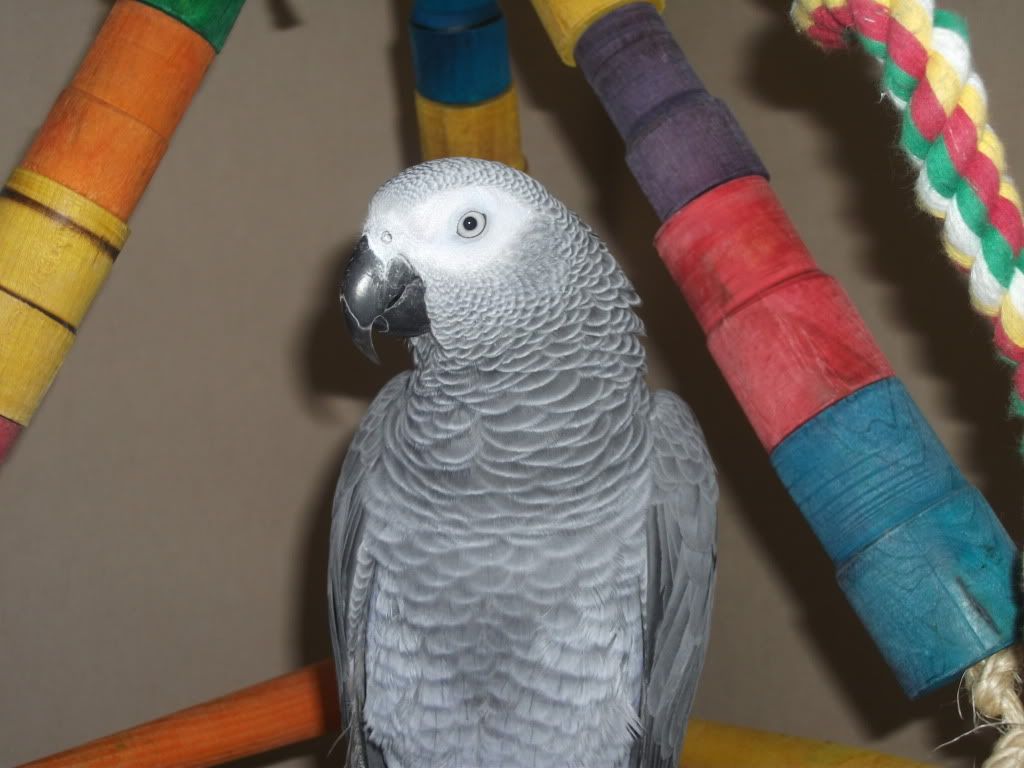 DSCF2002.jpg