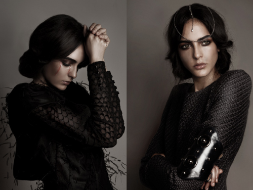 Picture-61-500x376.png