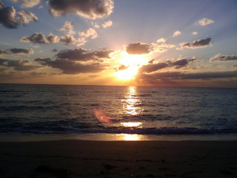 2010-10-17074018.jpg