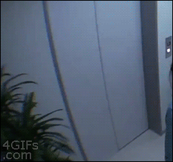 wfD1bUp.gif
