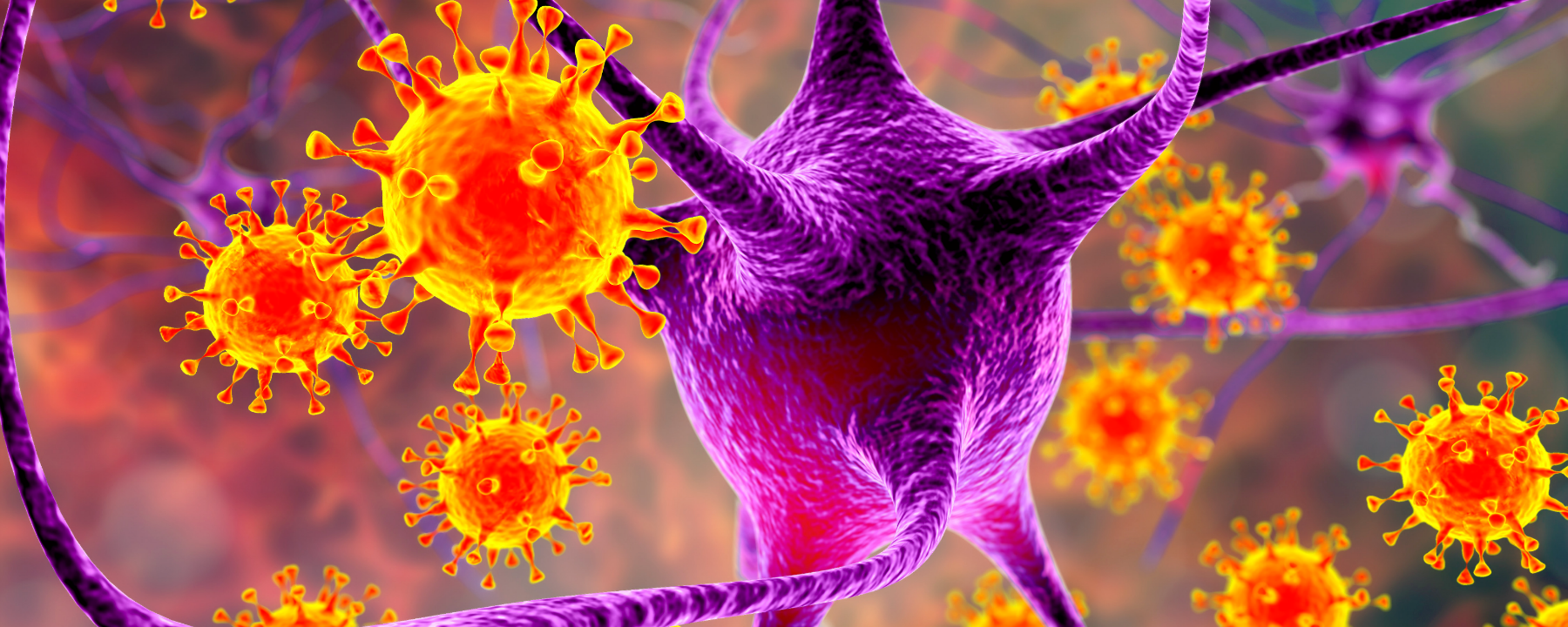 herpes-banner-x.png