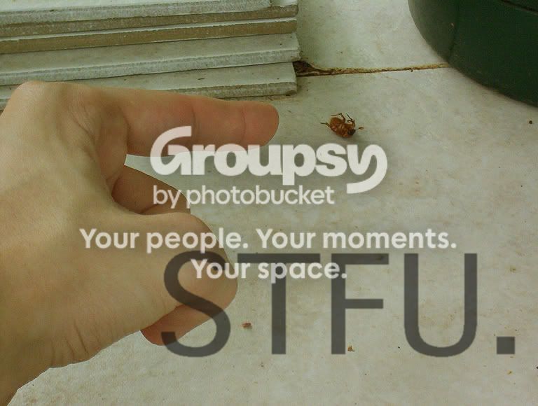 STFU.jpg